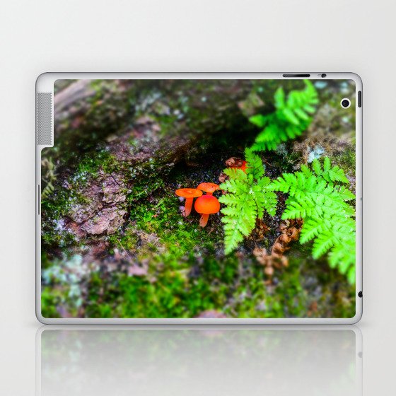 Mushrooms And Ferns At Allegany State Park Laptop & iPad Skin