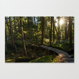 North Shore Trails in the Woods Canvas Print