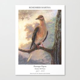 Passenger Pigeon - Martha Finds Her Flock  Canvas Print