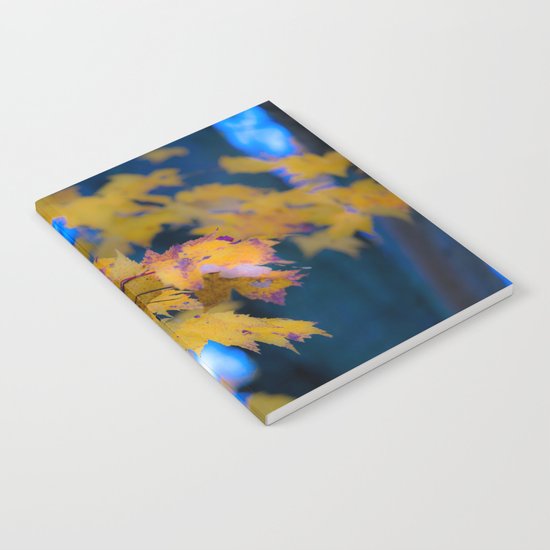Falling Apart Notebook