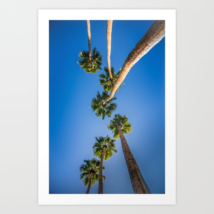 Upside Down LA Palms Art Print
