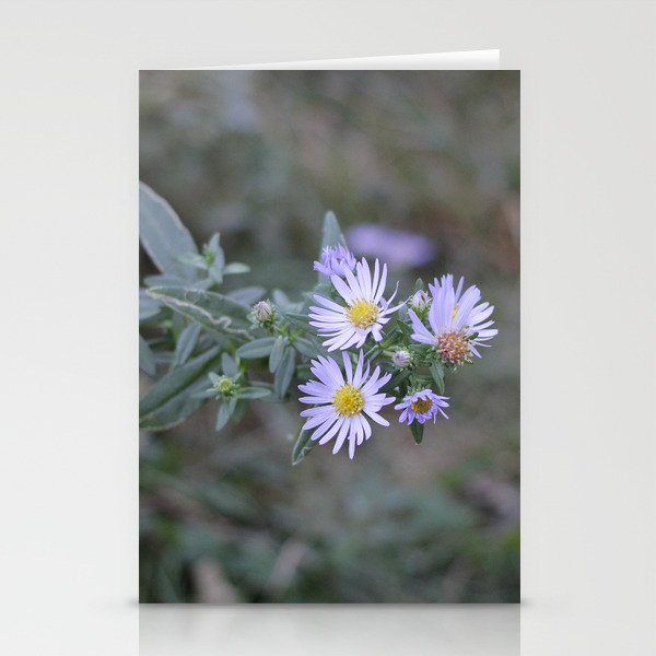 Purple Paths Stationery Cards