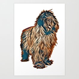 newfoundland dog in front of white background        - Image Art Print