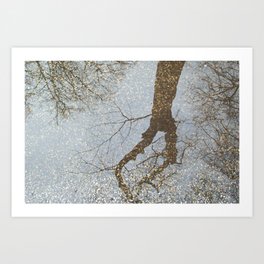 Reflection of trees in a water puddle on the road Art Print