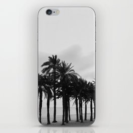 Palm trees on the beach | Fine art wanderlust travel photography | Moody black & white iPhone Skin