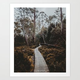 The Overland Track, Tasmania Art Print