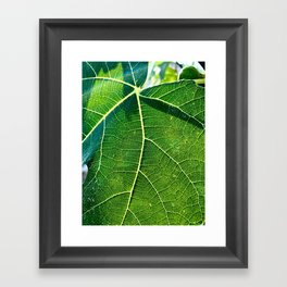 Leaf Highway Framed Art Print