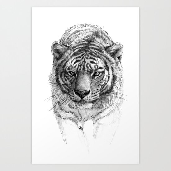 Tiger SK0102 Art Print