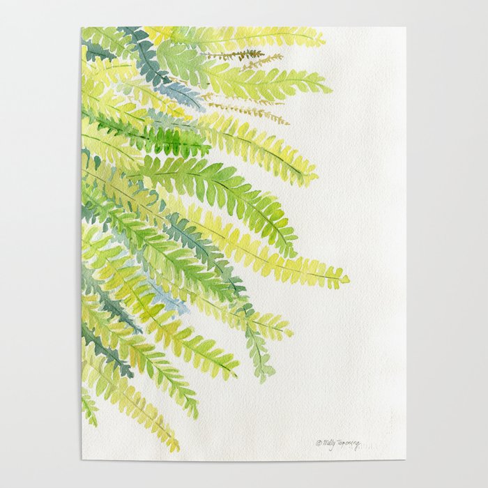 Fern Leaves Watercolor Poster
