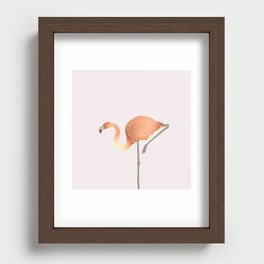 Pink Flamingo - Hanging Out Recessed Framed Print