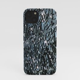 I see beauty in it, how about you? iPhone Case