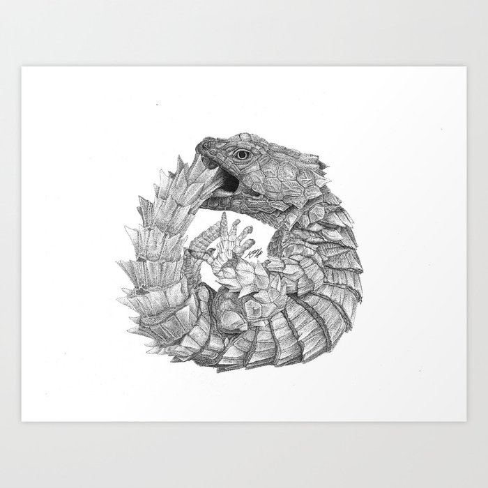 Armadillo Girdled Lizard Art Print by McogART | Society6