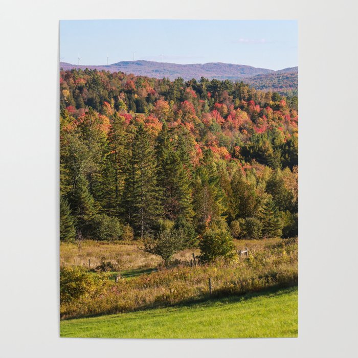 Fall into Vermont Leaves Poster