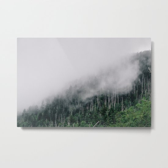 Misty Great Smoky National Park Metal Print
