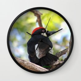 Acorn Woodpecker in Malibu Wall Clock | Digital, Nature, Woodpecker, Acornwoodpecker, California, Color, Bird, Photo, Tree, Malibuca 