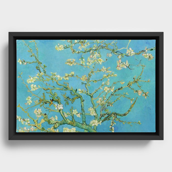 Framed Canvas
