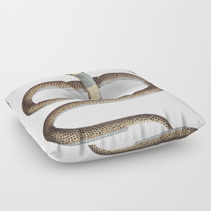 Cobra Capella (Naia Tripudians) Floor Pillow