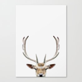 Deer Head Canvas Print
