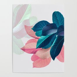 Pink and Blue Leaf Poster