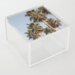 Palm trees France | Pastel | Golden hour | Fine Art Travel Photography Acrylic Box