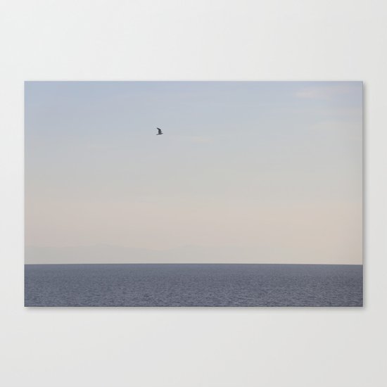 bird and sea Canvas Print