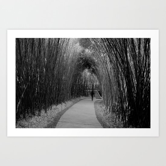 bamboo path Art Print