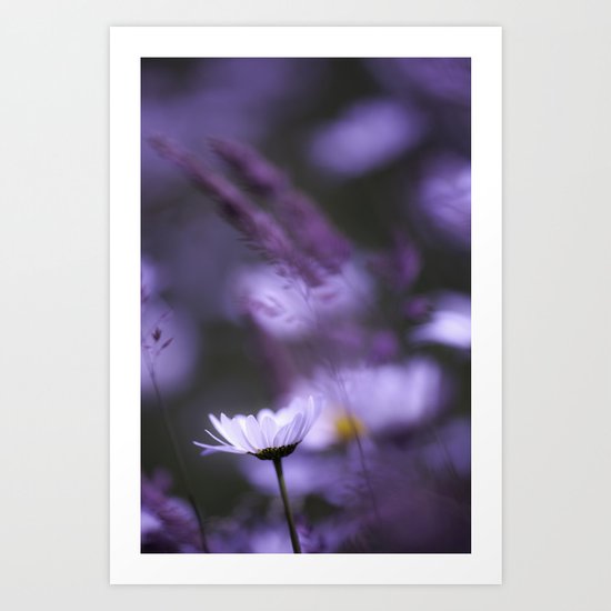 Light of the Petal White. Art Print