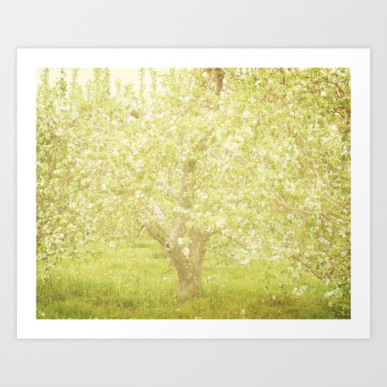 Cherry Tree Art Print