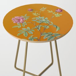 Vintage Cinnamon Rose Botanical Illustration on Sunset Orange Side Table