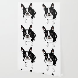Boston Terrier Wallpaper to Match Any
