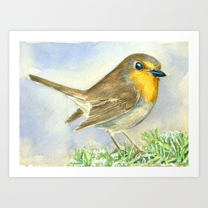 Robin Bird On A Frosted Juniper Branch Art Print By