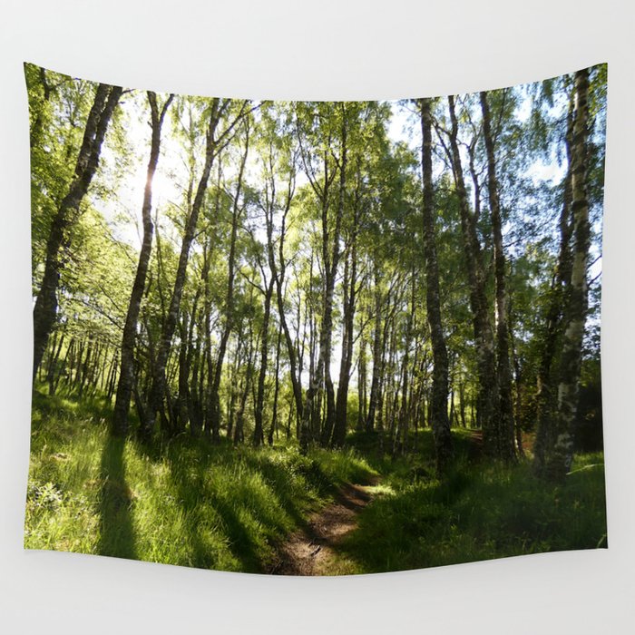 Scottish Highlands Spring Light and Shadow Nature Path Wall Tapestry