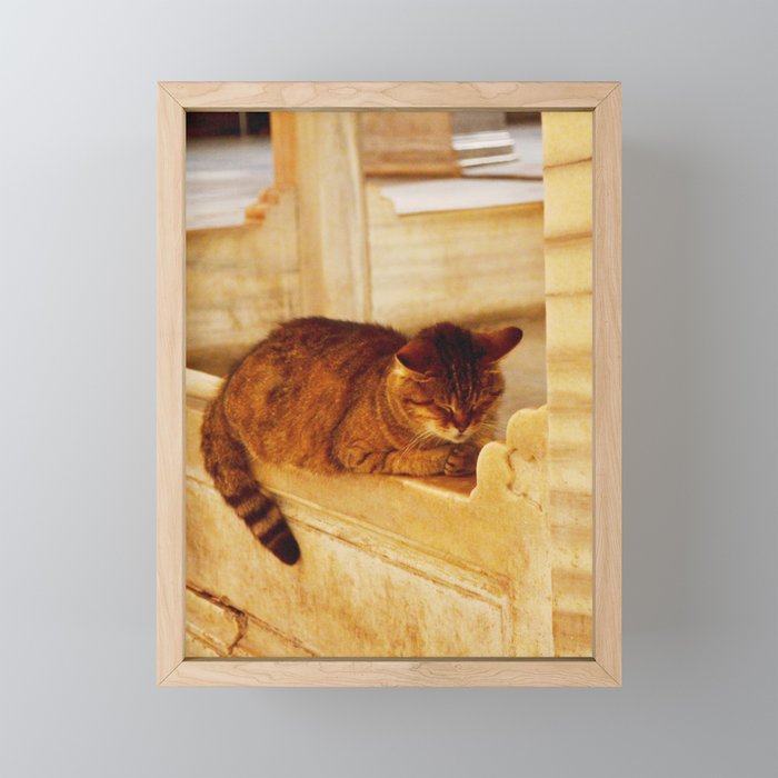 Praying cat  Framed Mini Art Print