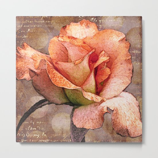 Rose on Grey Metal Print