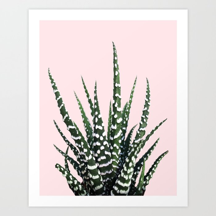 Cactus Photography | Pink Plants | Nature | Succulent | Flower | Summer | Desert Art Print