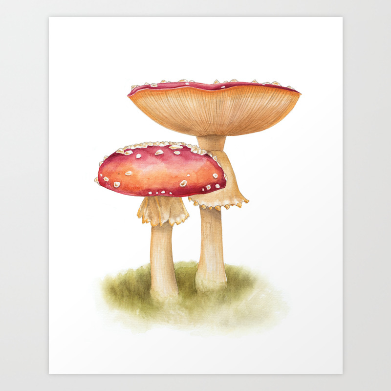 Mushroom Painting Fly Agaric Amanita Mascara Watercolour Art