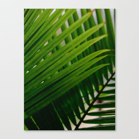 Tropical Lines Canvas Print
