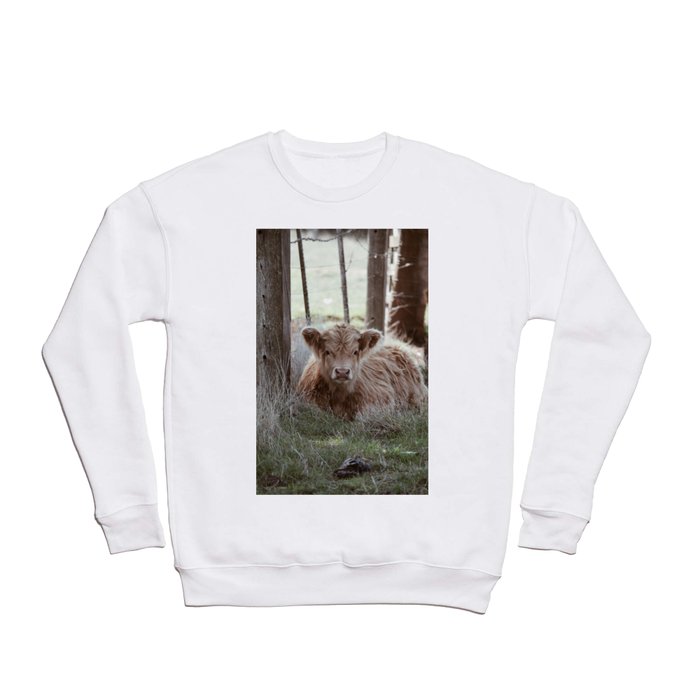 Highland Cow Calf Crewneck Sweatshirt