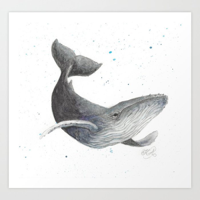 Humpback Whale Art Print By Vulpecula336 Society6