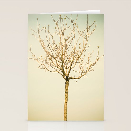 Pink Stationery Cards