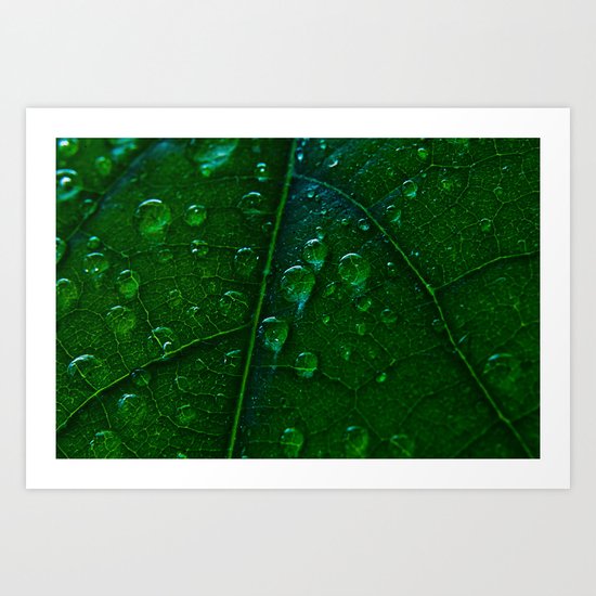 Green Bubbles Art Print