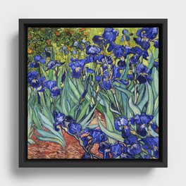 Irises by Vincent van Gogh Framed Canvas