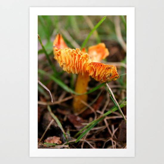 A Bugs Life Art Print