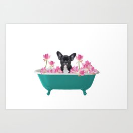 French Bulldog Frenchie - turquoise Bathtub - Lotos Flowers Art Print