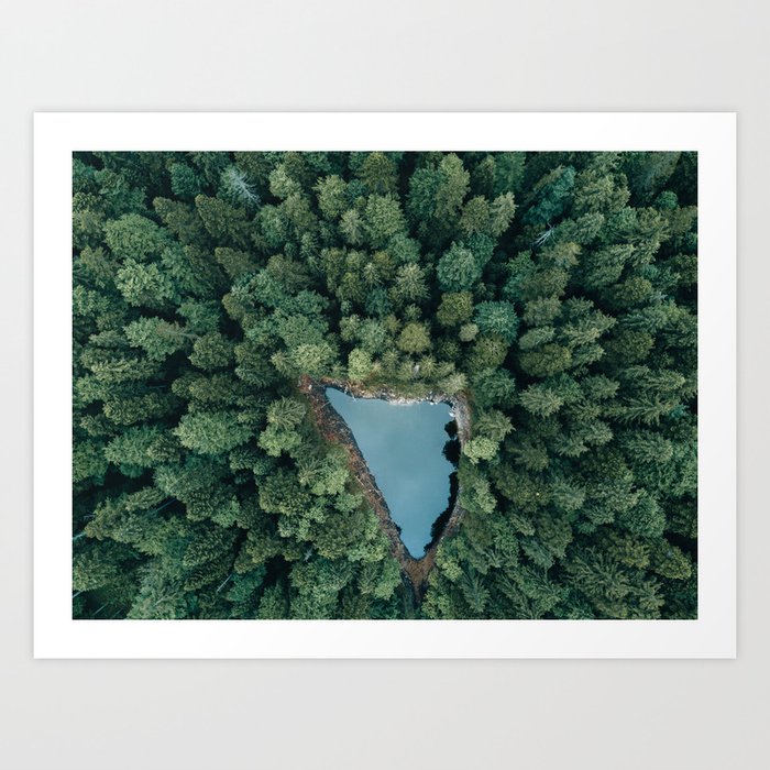 Art Print