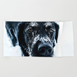 Black Lab Beach Towels For Any Bathroom Decor Society6