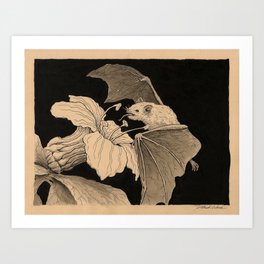 Leaf Nosed Bat Art Print