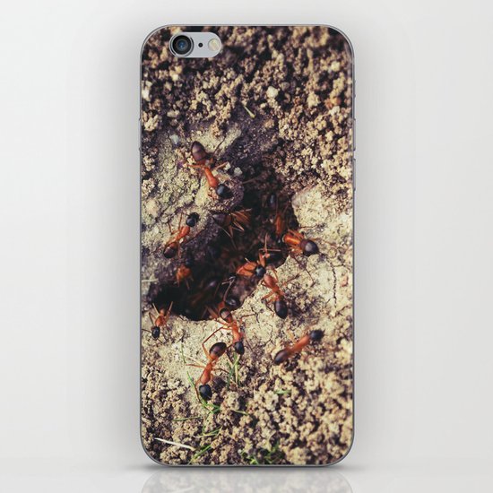 Ants iPhone & iPod Skin