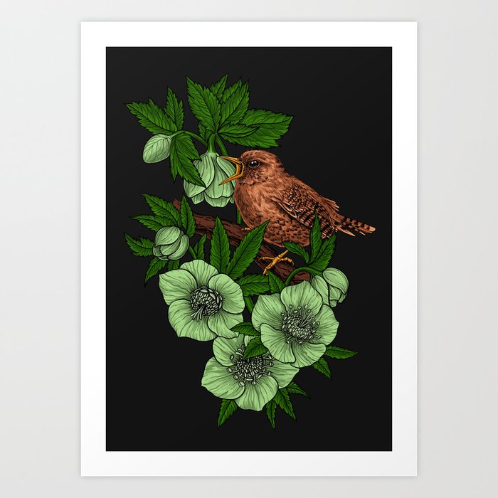 Wren and hellebore flowers Art Print