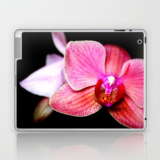 Orchid 3 Laptop & iPad Skin